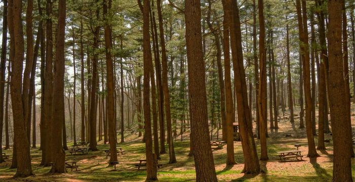 Steel push piers installed along foundation